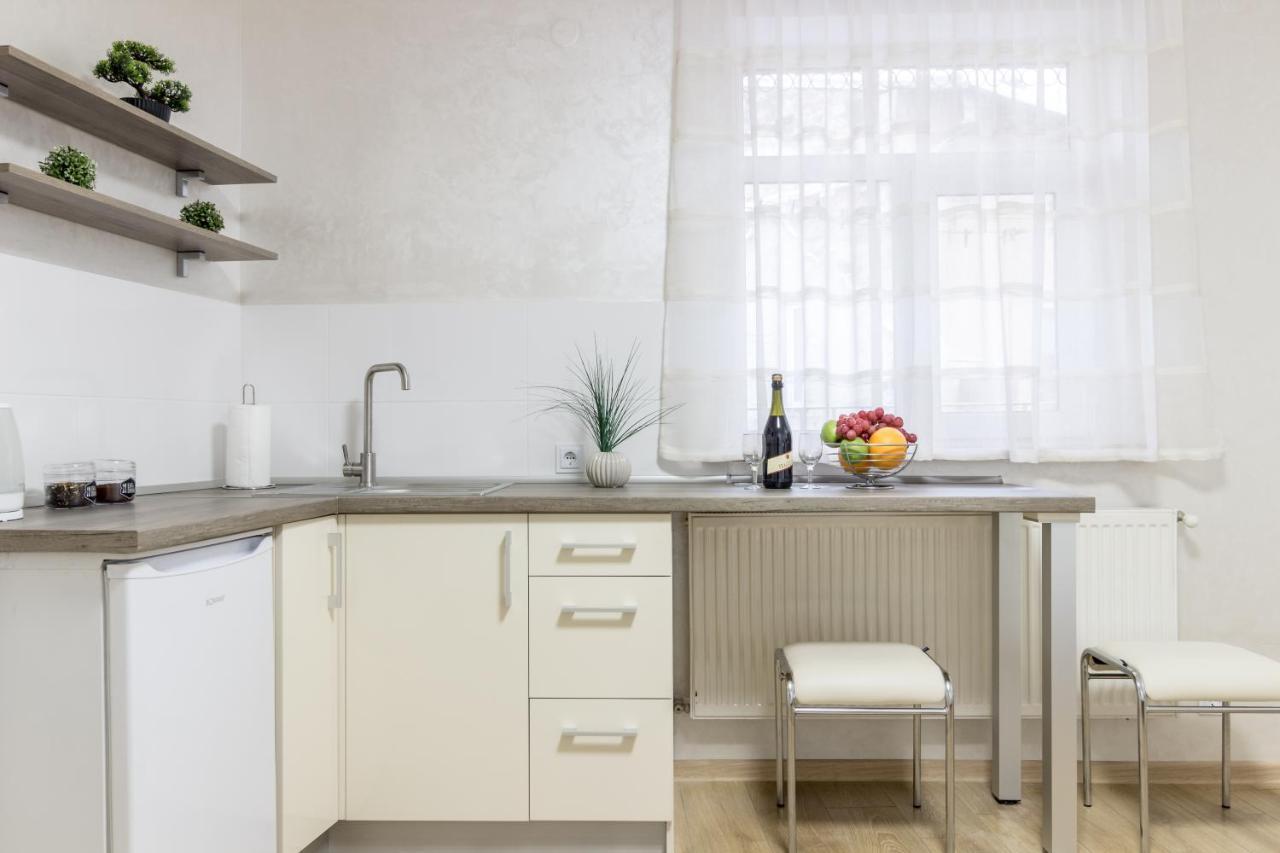 City Center Vip Studio Apartment 利沃夫 外观 照片